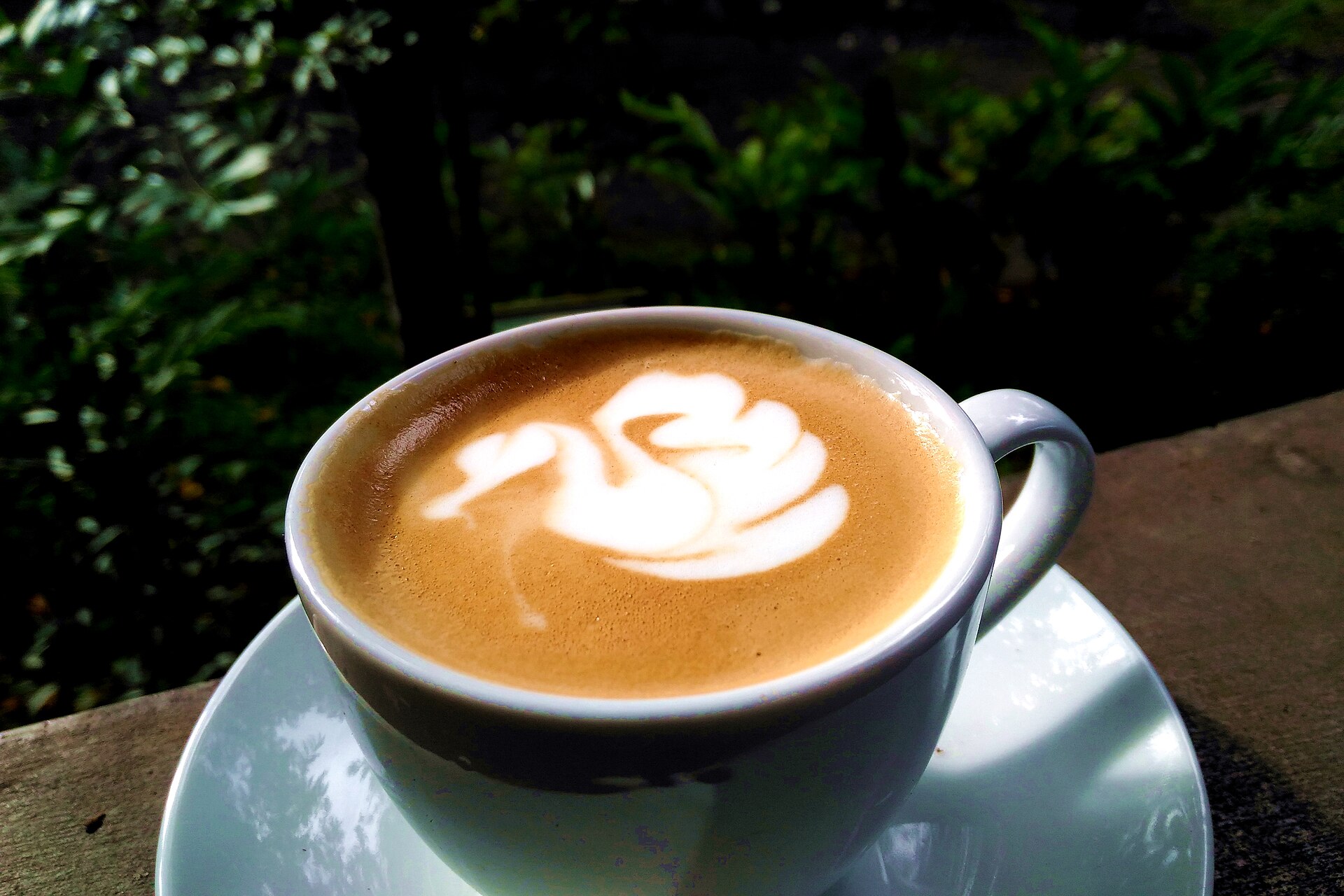 A latte with latte art