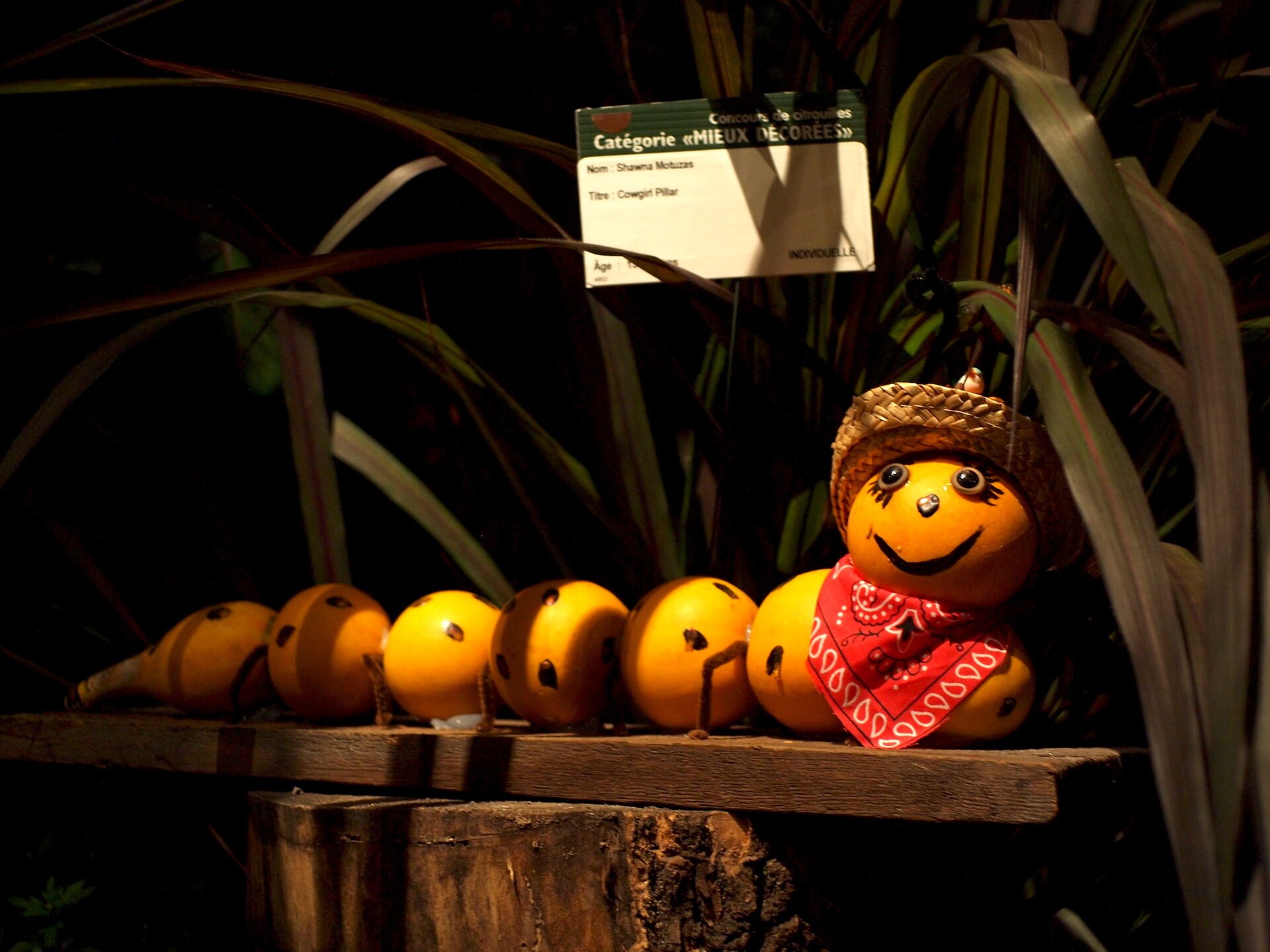 Carved jack-o’-lanterns at the Grand Bal des Citrouilles, a nod to Halloween safety in Montreal for trick-or-treaters