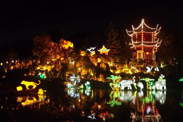 Glowing lanterns at Gardens of Light in the Montreal Botanical Garden, one of the last chances this week in Montreal